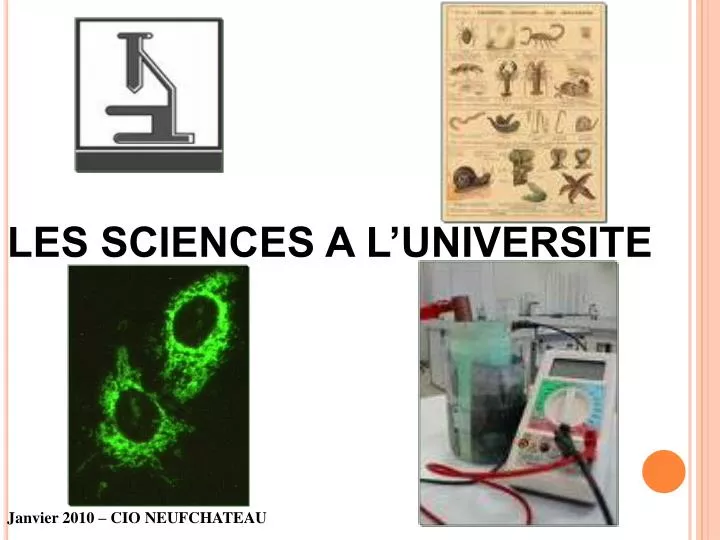 les sciences a l universite