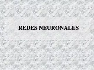 redes neuronales