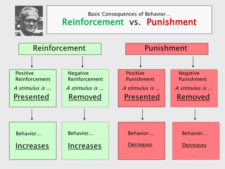 basic consequences of behavior reinforcement vs punishment