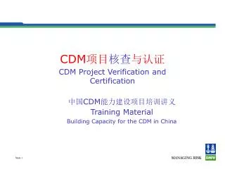 CDM ?? ?? ??? CDM Project Verification and Certification