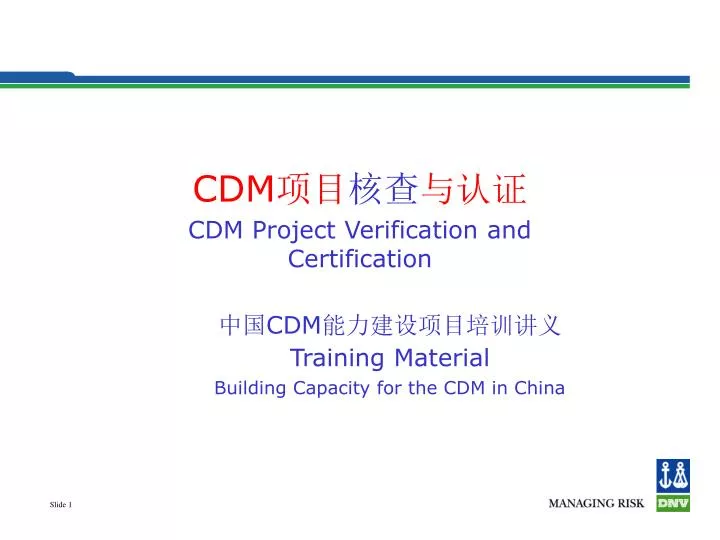 cdm cdm project verification and certification