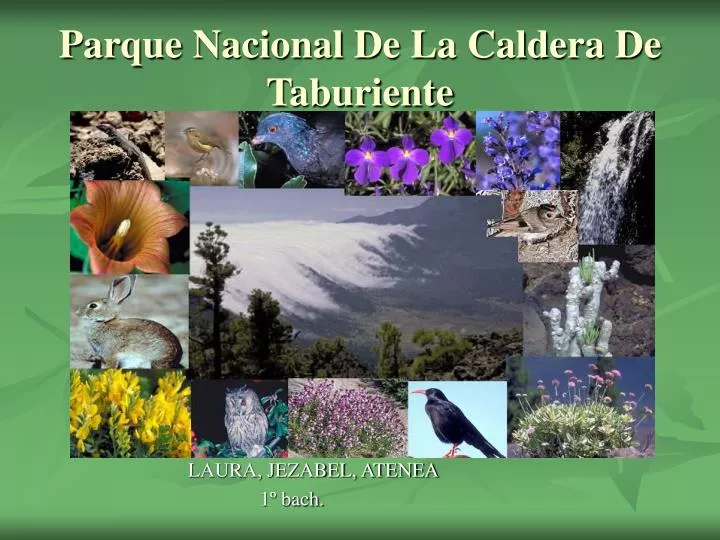 parque nacional de la caldera de taburiente