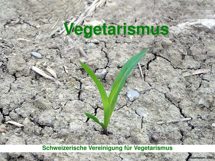vegetarismus