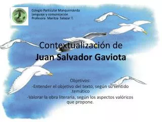 Contextualización de Juan Salvador Gaviota