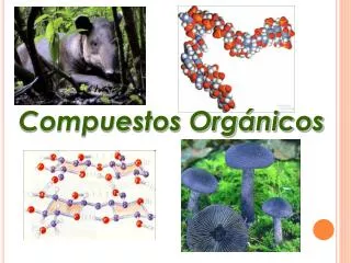 compuestos org nicos