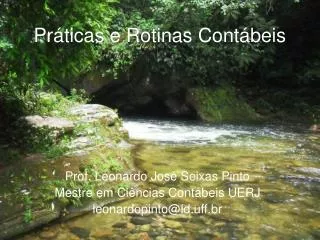 pr ticas e rotinas cont beis