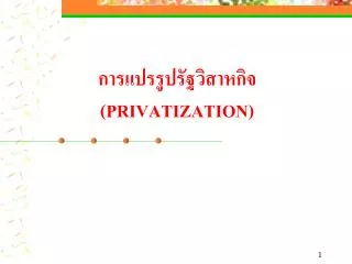 privatization
