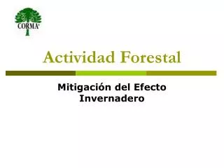 Actividad Forestal