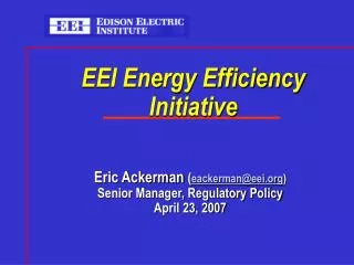 EEI Energy Efficiency Initiative