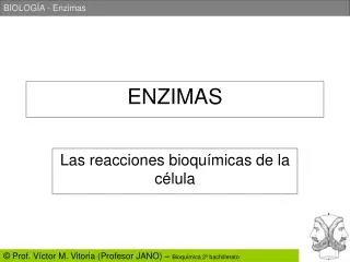 enzimas