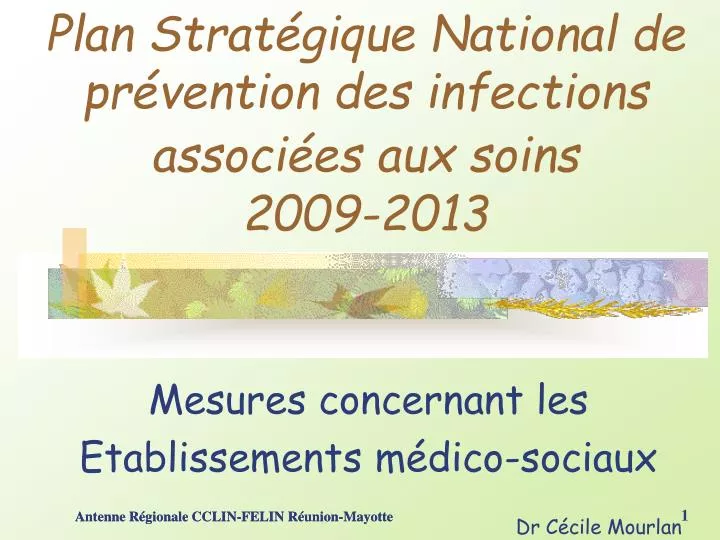 plan strat gique national de pr vention des infections associ es aux soins 2009 2013