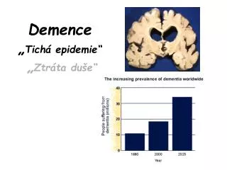 Demence „ Tichá epidemie“ „ Ztráta duše“