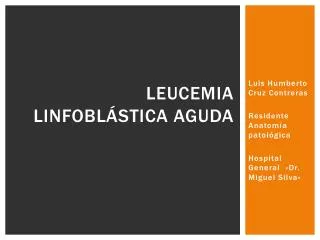 leucemia linfobl stica aguda