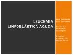 Leucemia linfoblástica aguda - slide 1