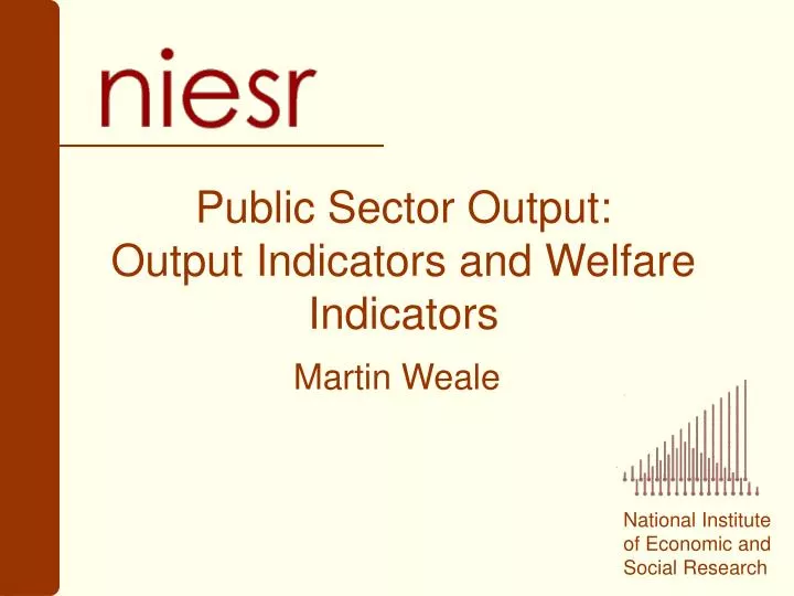 public sector output output indicators and welfare indicators
