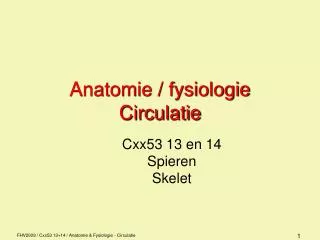 anatomie fysiologie circulatie