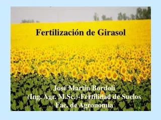 Fertilización de Girasol