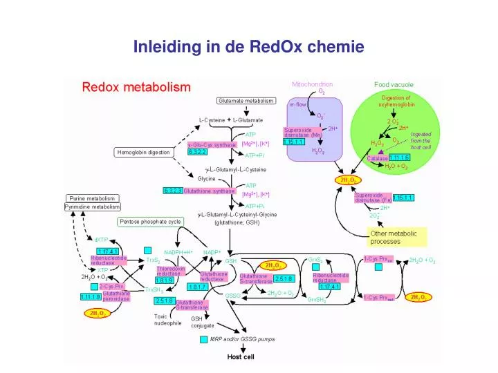 inleiding in de redox chemie