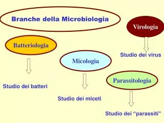 Branche della Microbiologia