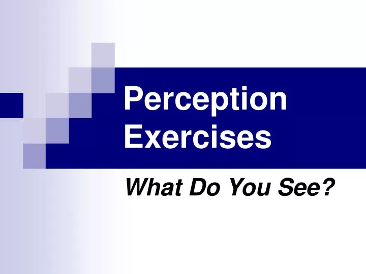 perception exercises