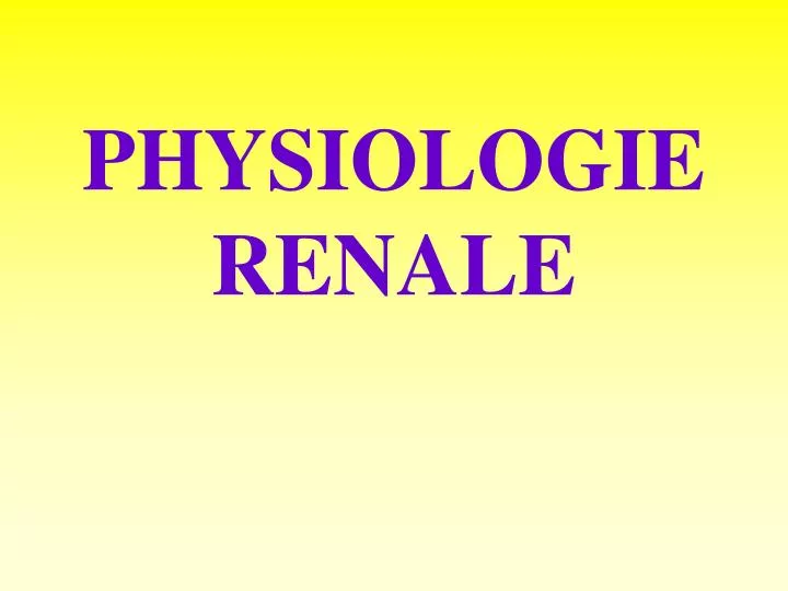 physiologie renale