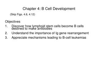 Chapter 4: B Cell Development