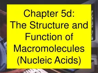 Chapter 5d: The Structure and Function of Macromolecules (Nucleic Acids)