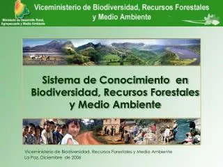 viceministerio de biodiversidad recursos forestales y medio ambiente la paz diciembre de 2006