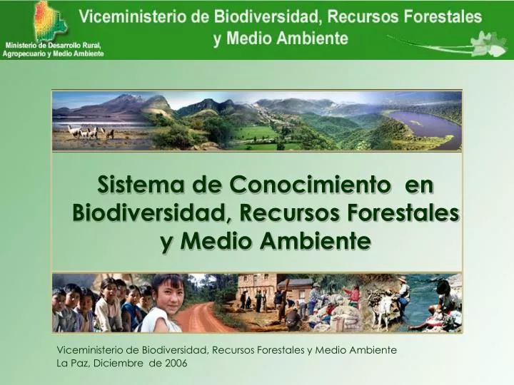 viceministerio de biodiversidad recursos forestales y medio ambiente la paz diciembre de 2006