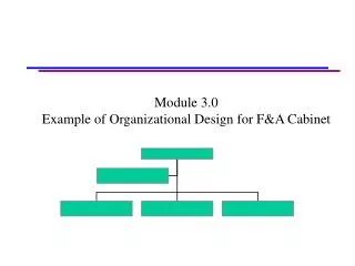 Module 3.0 Example of Organizational Design for F&amp;A Cabinet