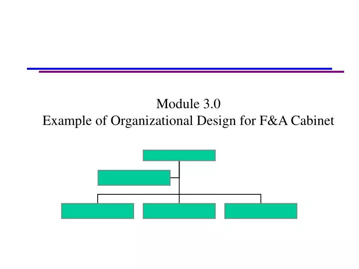 module 3 0 example of organizational design for f a cabinet
