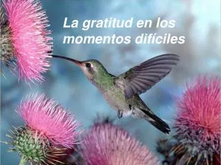 La gratitud en los momentos difíciles