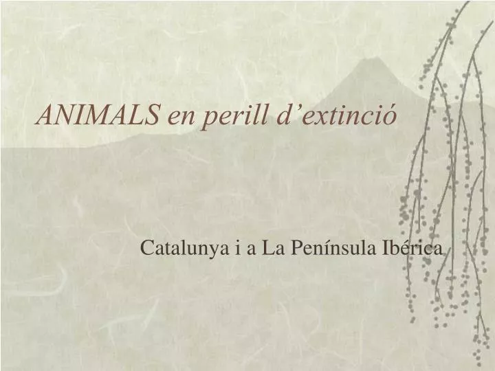 animals en perill d extinci