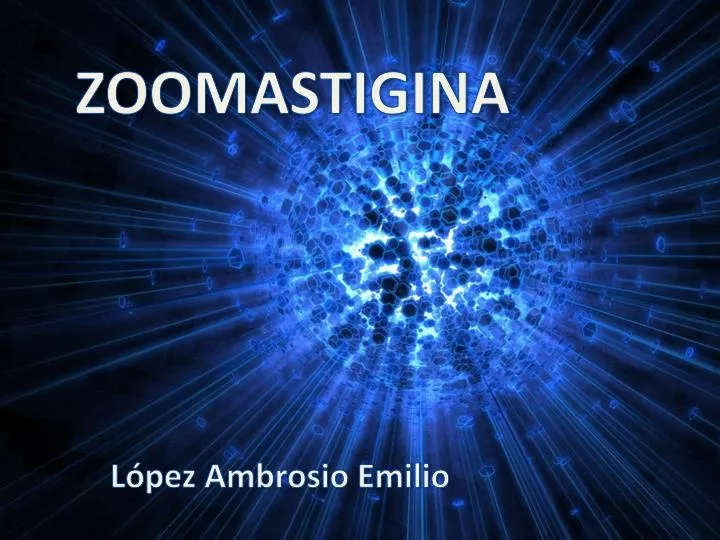 zoomastigina