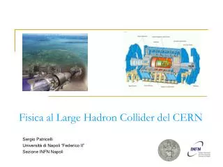 Fisica al Large Hadron Collider del CERN