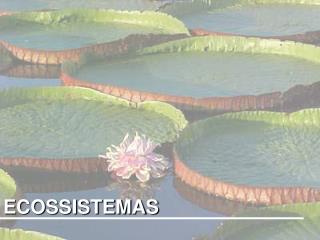 ecossistemas