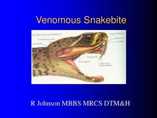 Venomous Snakebite