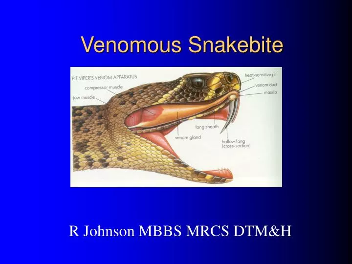 venomous snakebite