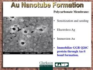 Au Nanotube Formation