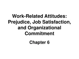 Work-Related Attitudes: Prejudice, Job Satisfaction, and Organizational Commitment