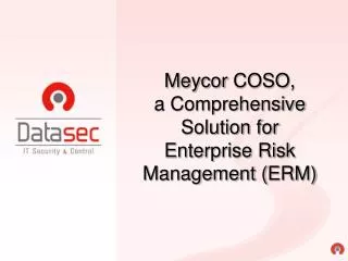 Meycor COSO , a Comprehensive Solution for Enterprise Risk Management ( ERM )