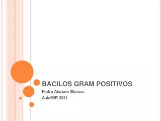 bacilos gram positivos