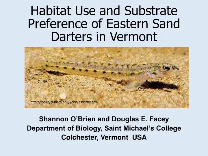 habitat use and substrate preference of eastern sand darters in vermont