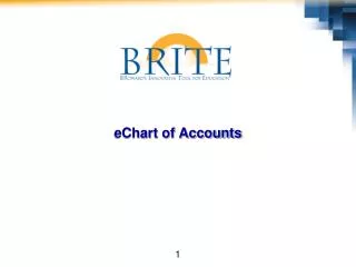 eChart of Accounts