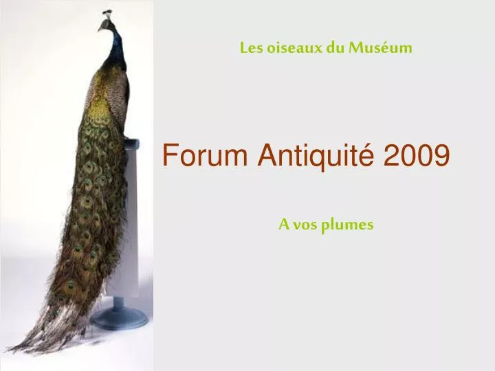 forum antiquit 2009