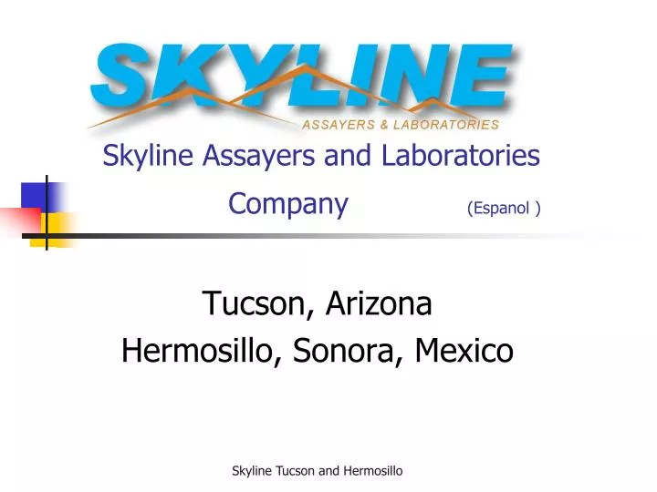 skyline assayers and laboratories company espanol