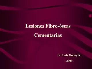 Dr. Luis Godoy R. 2009