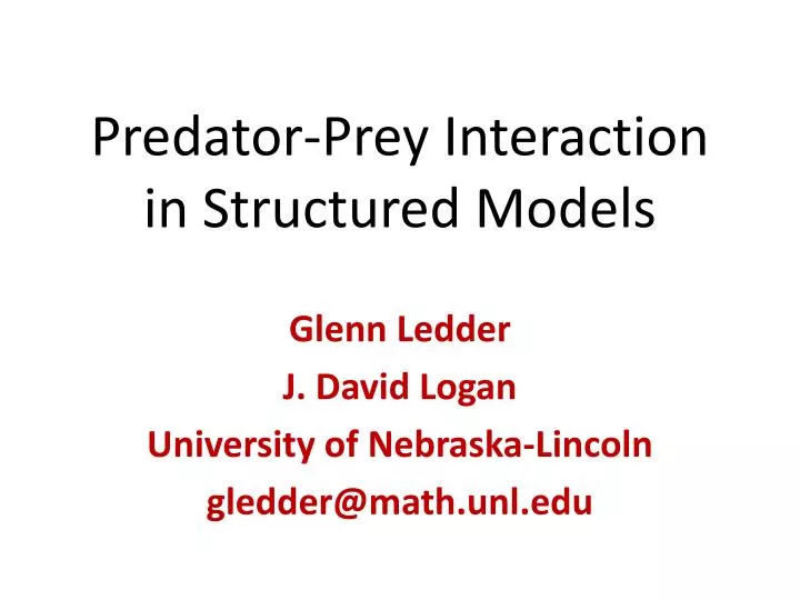 predator prey interaction in structured models