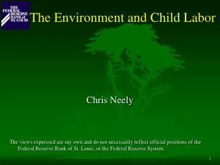 The Environment and Child Labor