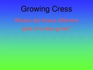 Growing Cress